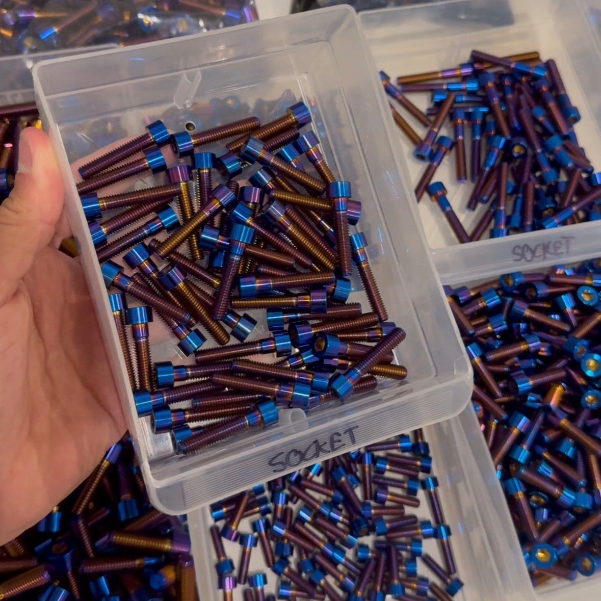 Talaria Horn Plastic Bolts (set of 3)