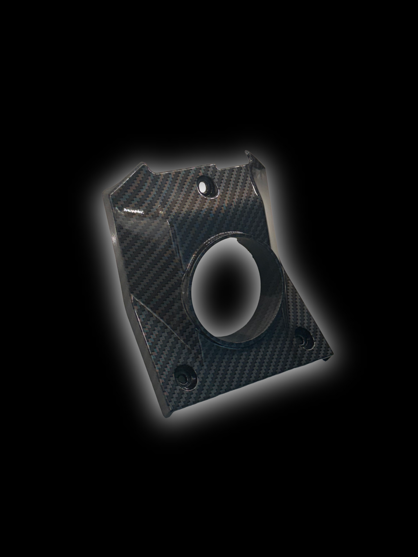 Talaria xxx Imitation Carbon Fiber Horn Cover