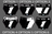 Starline Motocutz Decal