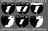 Starline Odi Decal