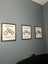 Surron LBX Framed Poster